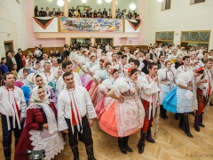 150117_krojovy_ples_062