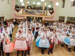 150117_krojovy_ples_064