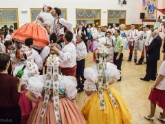 150117_krojovy_ples_074