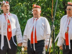 Májové zpívání  Prušánky 2015