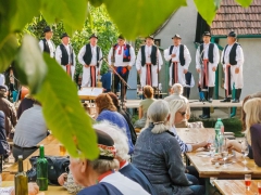 Májové zpívání  Prušánky 2015
