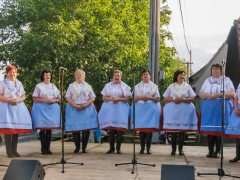 Májové zpívání  Prušánky 2015