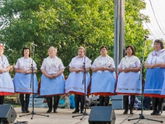 Májové zpívání  Prušánky 2015