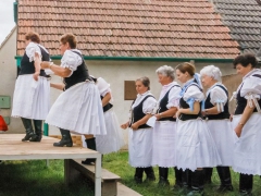 Májové zpívání  Prušánky 2015