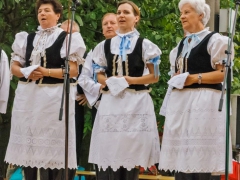 Májové zpívání  Prušánky 2015