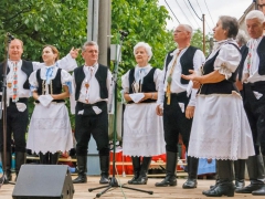 Májové zpívání  Prušánky 2015
