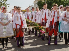 150920_vinobrani_001