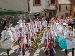 150920_vinobrani_003