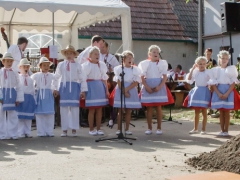 150920_vinobrani_008