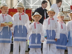 150920_vinobrani_009