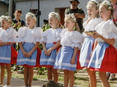 150920_vinobrani_010