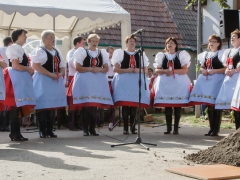150920_vinobrani_011