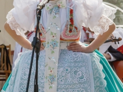 150920_vinobrani_012