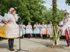 150920_vinobrani_013