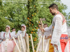 150920_vinobrani_014