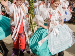 150920_vinobrani_016
