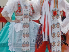 150920_vinobrani_017