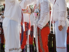 150920_vinobrani_018