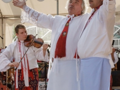 150920_vinobrani_019
