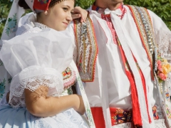 150920_vinobrani_020