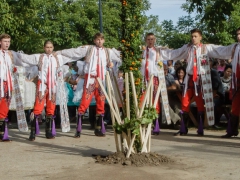 150920_vinobrani_021