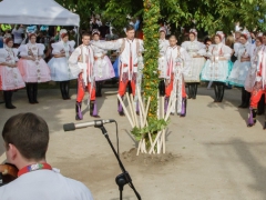 150920_vinobrani_023