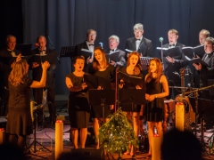 Štěpánští-koledníci-a-hosté-Prušánky-2015