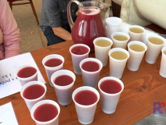 pochod_4