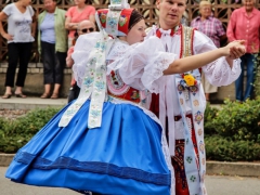 img_0204