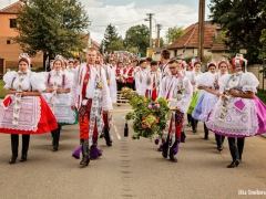 Vinobraní 2016 (Jitka Omelková)