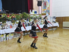 ples_regionu_podluzi_5