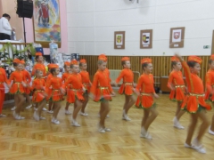 ples_regionu_podluzi_6