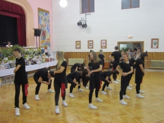 ples_regionu_podluzi_7