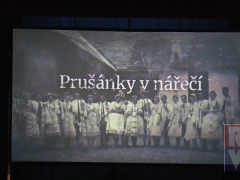 01-pruc5a1c3a1nky-dokument
