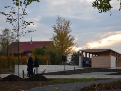 dsc_1250