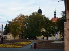 dsc_1252_0