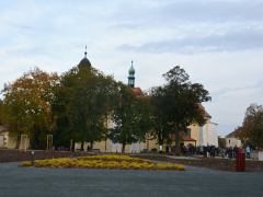dsc_1253