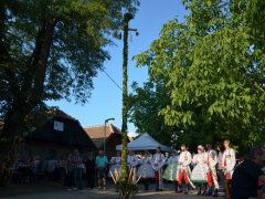 Vinobraní (foto: Jana Netíková-Hunkařová)