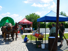 dsc_0240-kopie