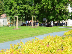 dsc_0292-kopie