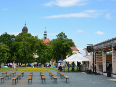dsc_0300-kopie