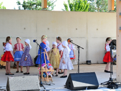 dsc_0345-kopie