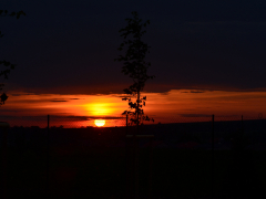 dsc_0532