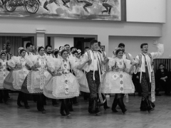 51086944_2100392779983669_5639726422575546368_o