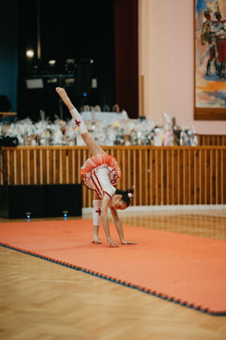 plessportovcu-vojtazprusanek-33_0