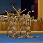 Diskoples 2014