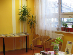 2016_knihovna_ctenarsky_koutek