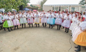 Vinobrani_2014_12
