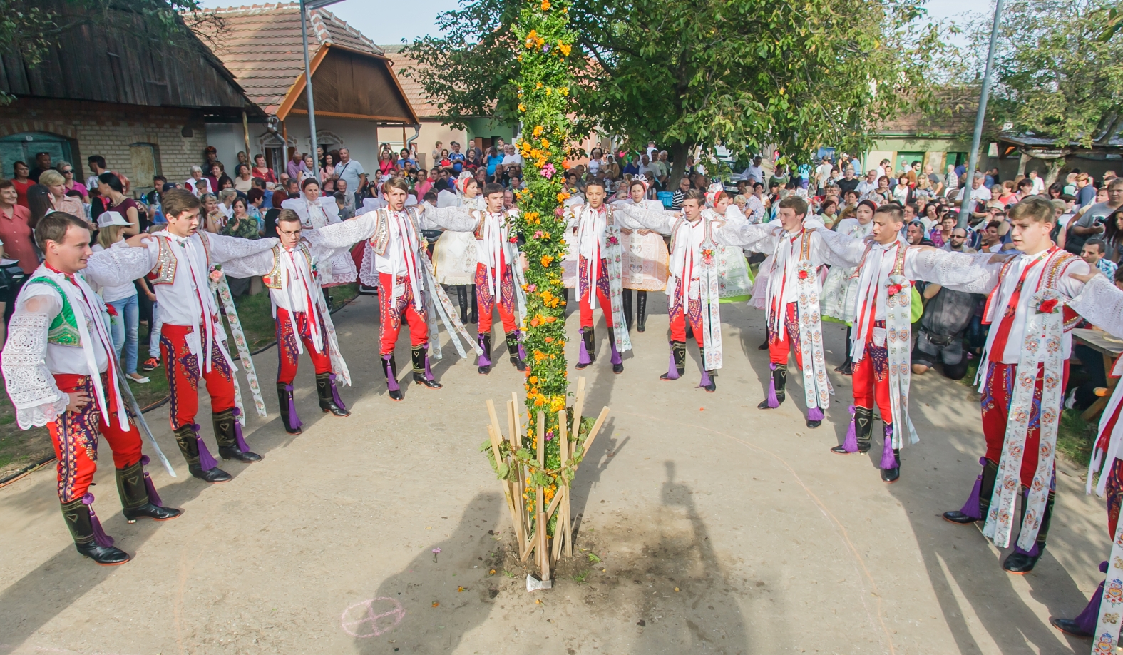 Vinobrani_2014_13