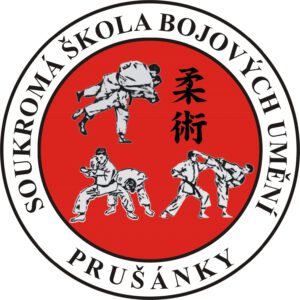 2016_jiu_jitsu